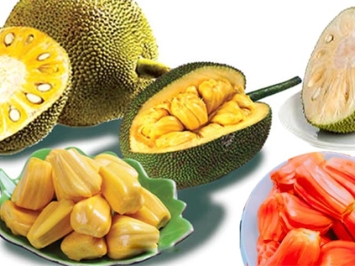 Lợi Ích Của Quả Mít