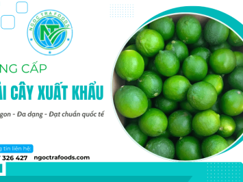 Nhà cung cấp các loại trái cây xuất khẩu tươi ngon đạt chuẩn quốc tế