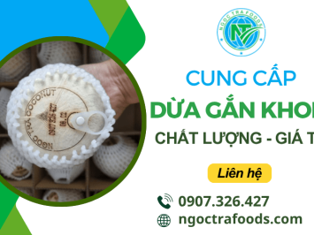 Dừa gắn khoen – Sự kết hợp hoàn hảo giữa tiện ích và thẩm mỹ