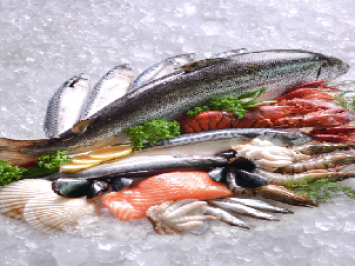 Cung Cấp Thực Phẩm Seafood Tươi Sạch