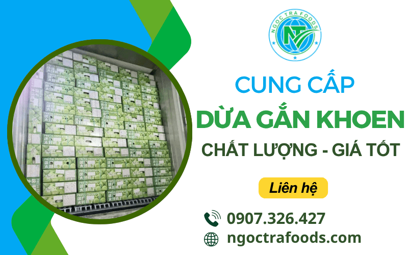 dừa gắn khoen