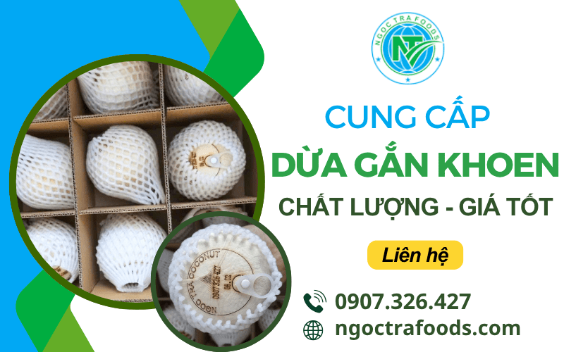 dừa gắn khoen