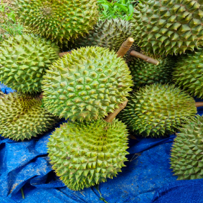 Sầu Riêng Tươi Nguyên Trái