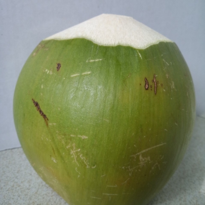 Dừa Tươi Còn Vỏ Hình Nón