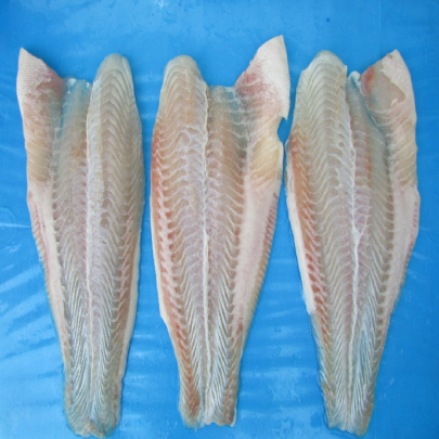 Cá file, Bỏ Chỉ Đỏ