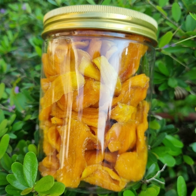 MÍT SẤY DẺO