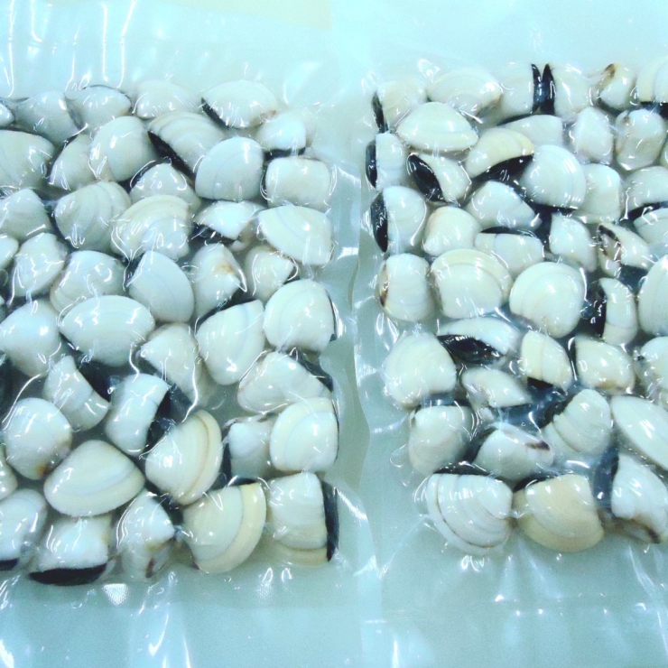 Nghêu Trắng Còn Vỏ