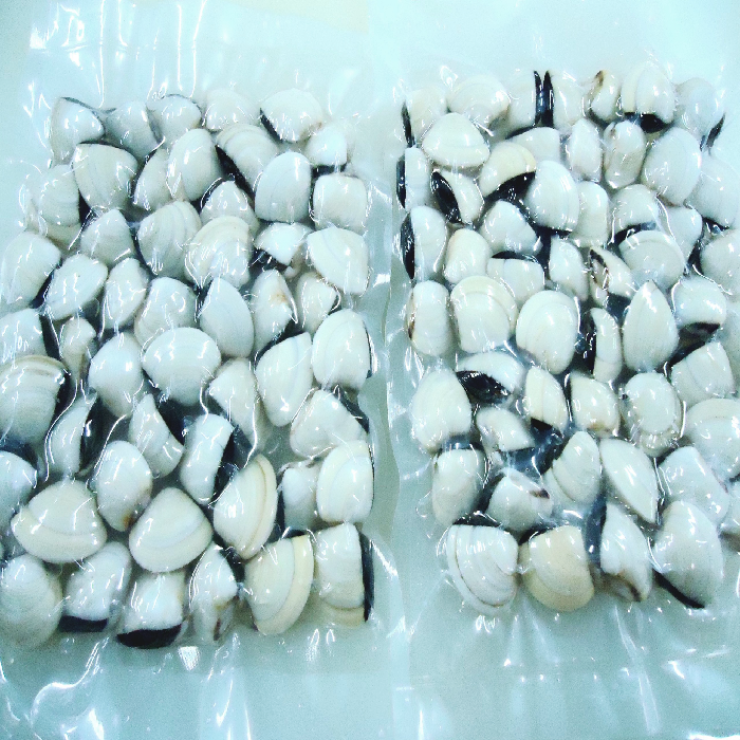 Nghêu Trắng Còn Vỏ