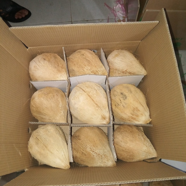 Dừa Khô Nguyên Trái