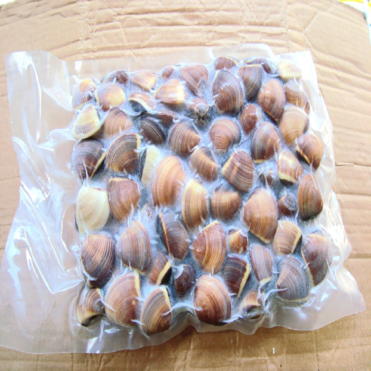 Nghêu Nâu Còn Vỏ