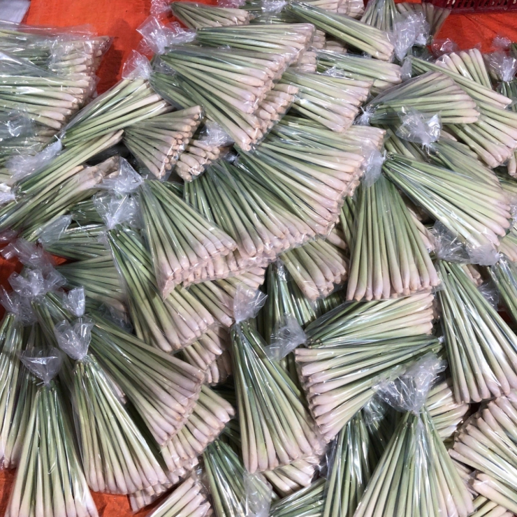 Sả cây