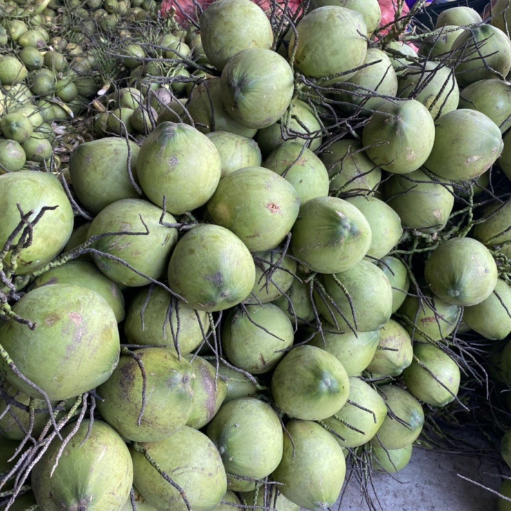 Dừa Tươi Nguyên Trái