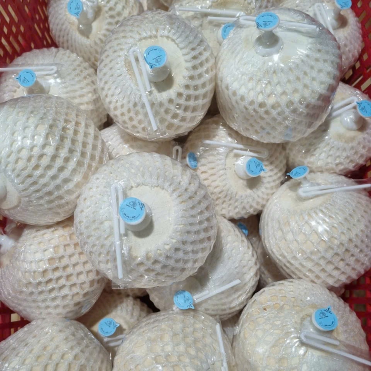 Dừa Gọt Kim Cương