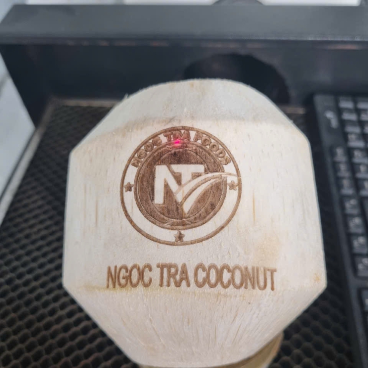 Dừa Gọt Kim Cương